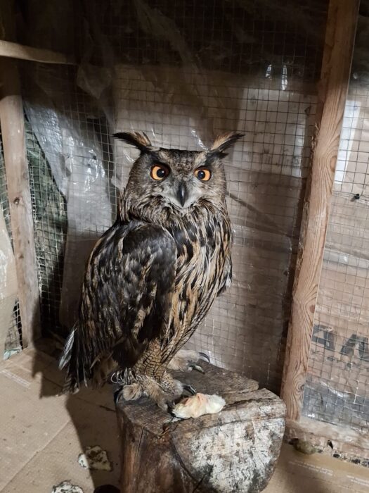 Etusivu, Loimi-Hämeen Jätehuolto Oy